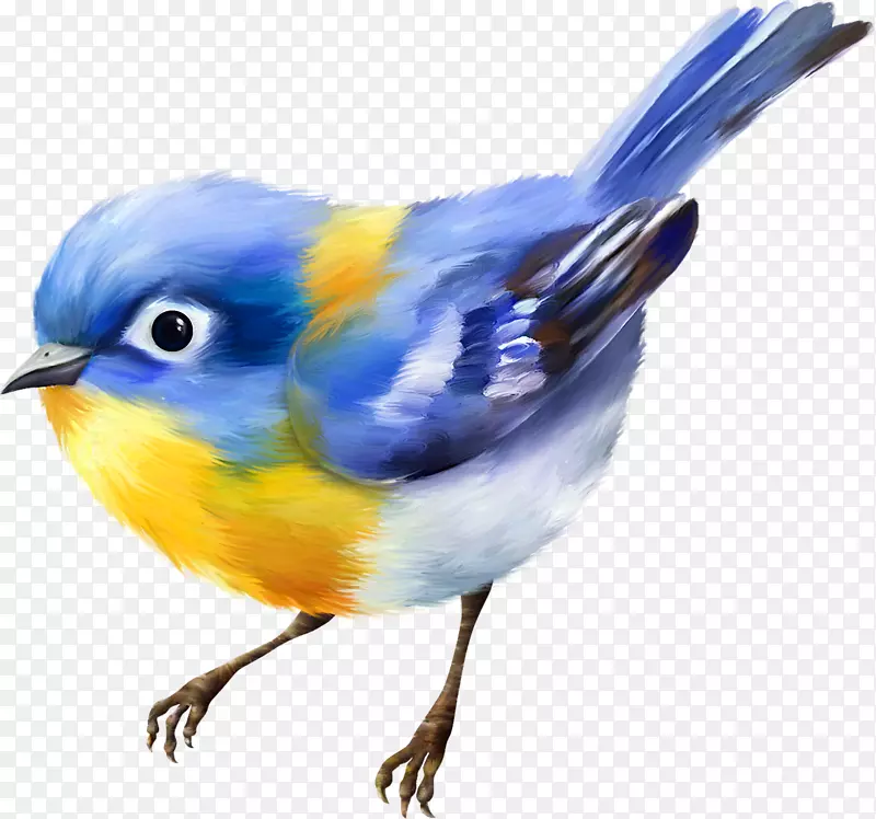 水彩绘画小鸟
