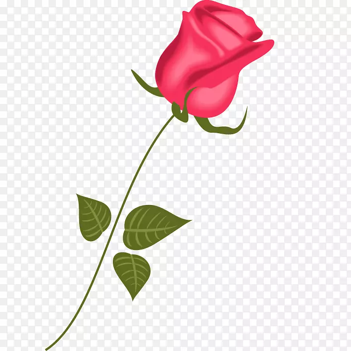 一朵手绘的玫瑰花