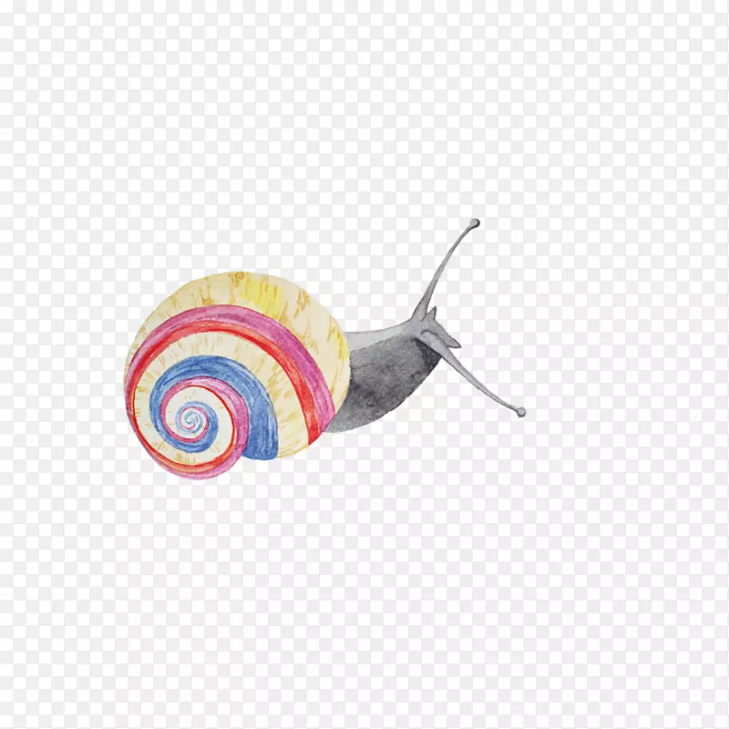 水彩手绘的小蜗牛