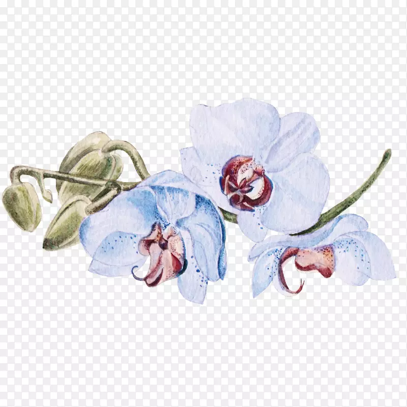蓝色花朵矢量素材