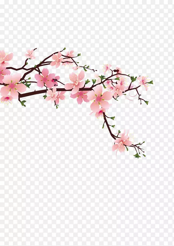 边角花朵装饰