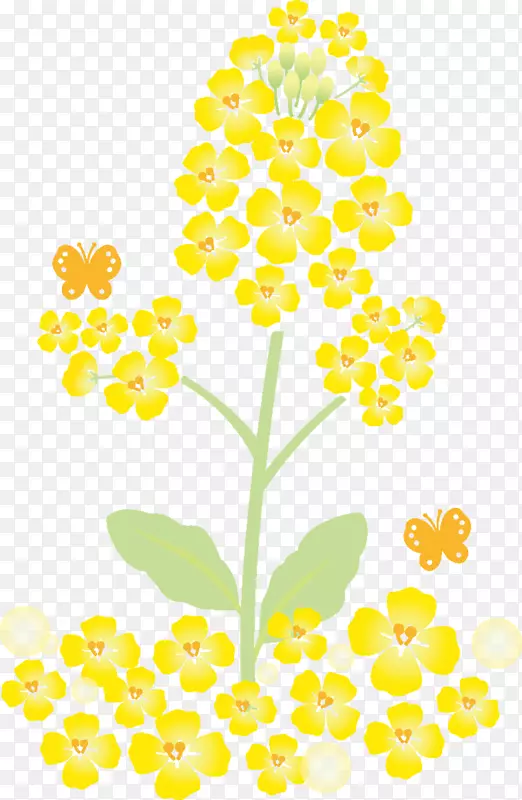 春天黄色花朵装饰