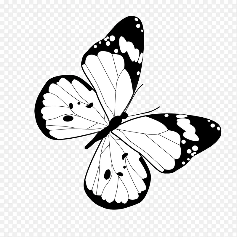 黑白蝴蝶装饰图案