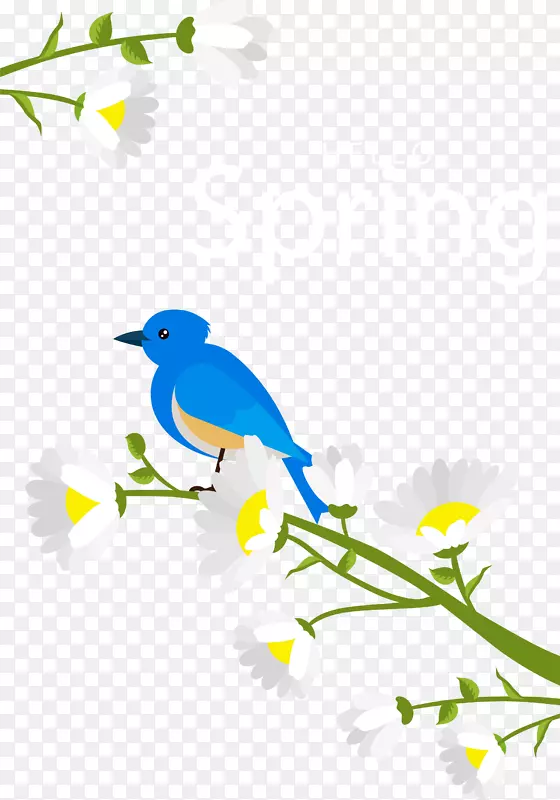 春暖花开蓝色小鸟