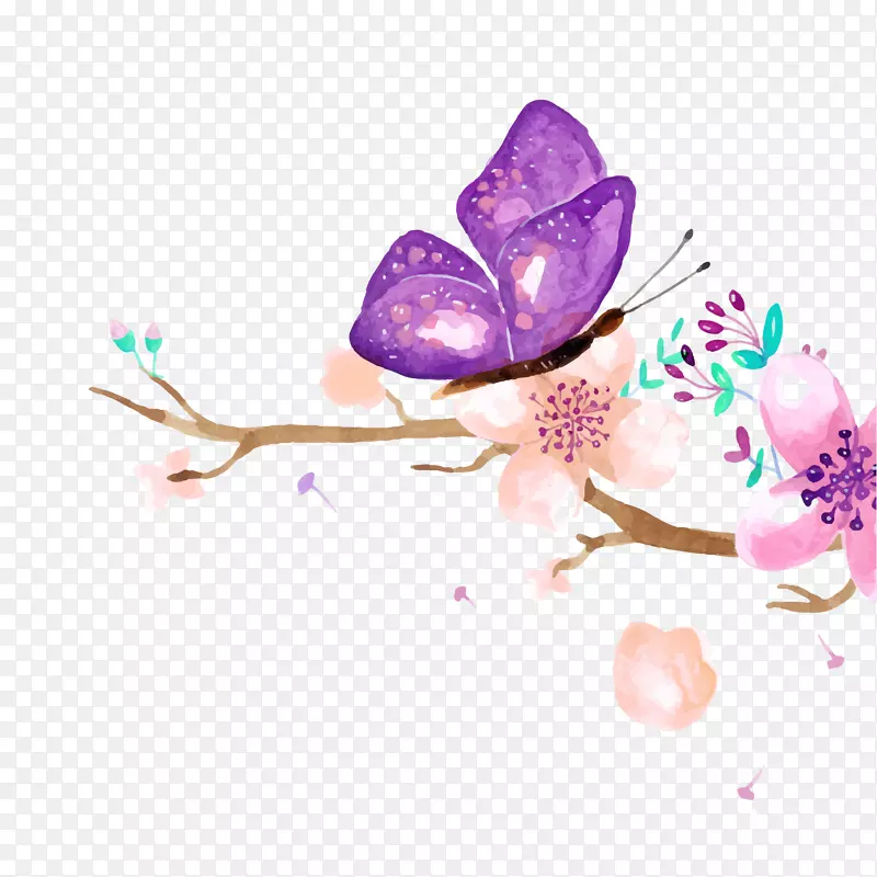水彩绘唯美紫色蝴蝶花卉