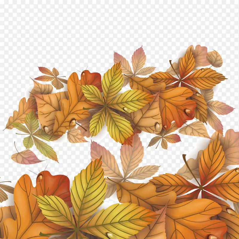 秋天背景设计素材图片