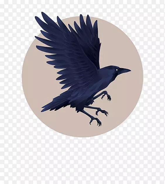 蓝色乌鸦