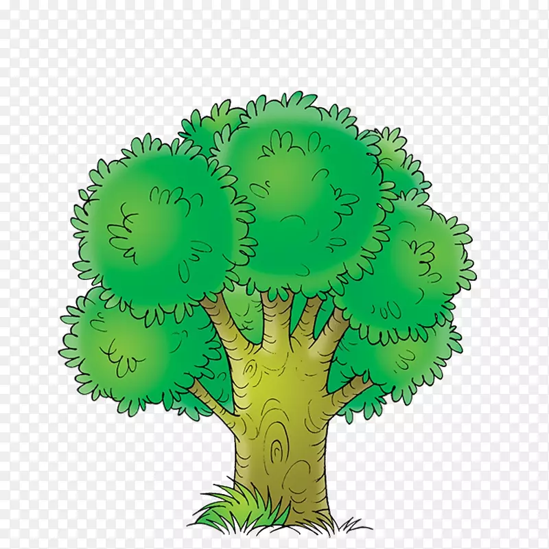 茂盛的绿树
