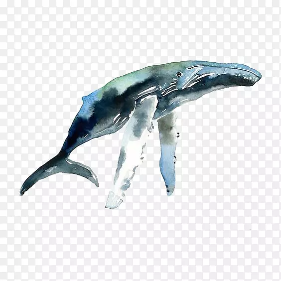 手绘水彩一只可爱的蓝色座头鲸插