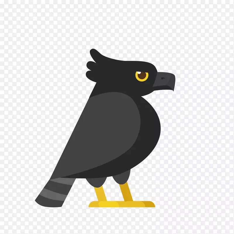 黑色设计动物乌鸦