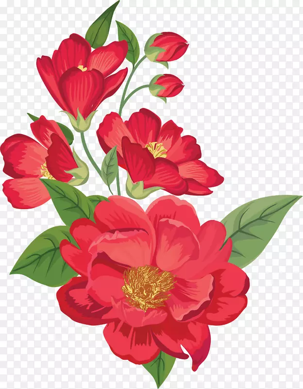 红色盛开的鲜花
