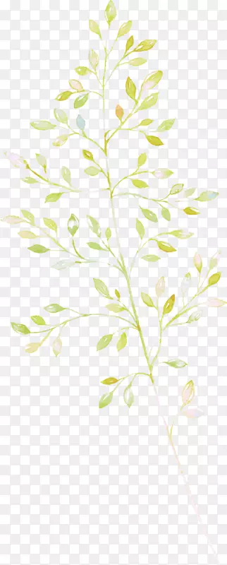 手绘植物绿叶花草