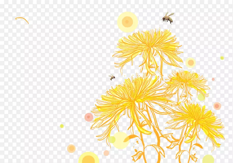 菊花上的蜜蜂