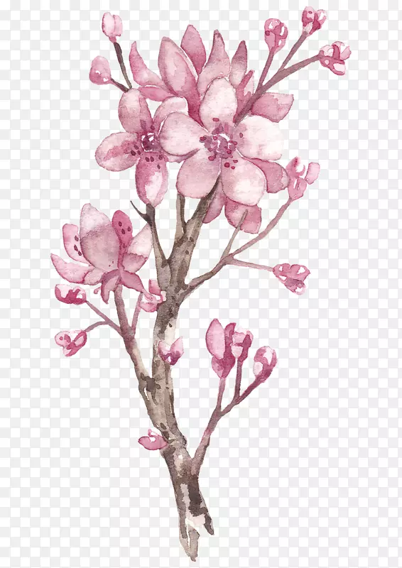 粉色盛开的桃花素材