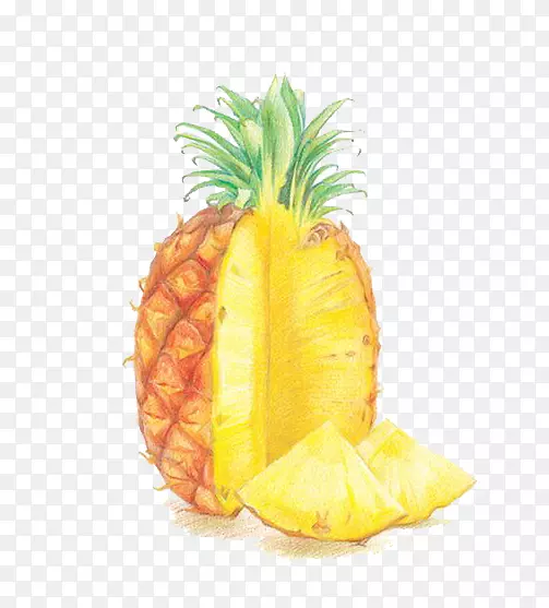 彩铅菠萝