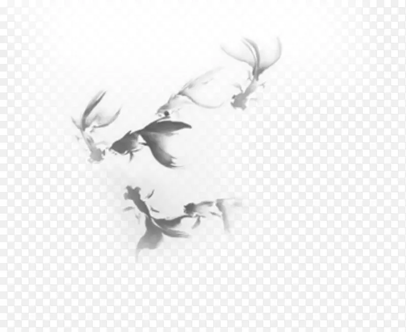 金鱼