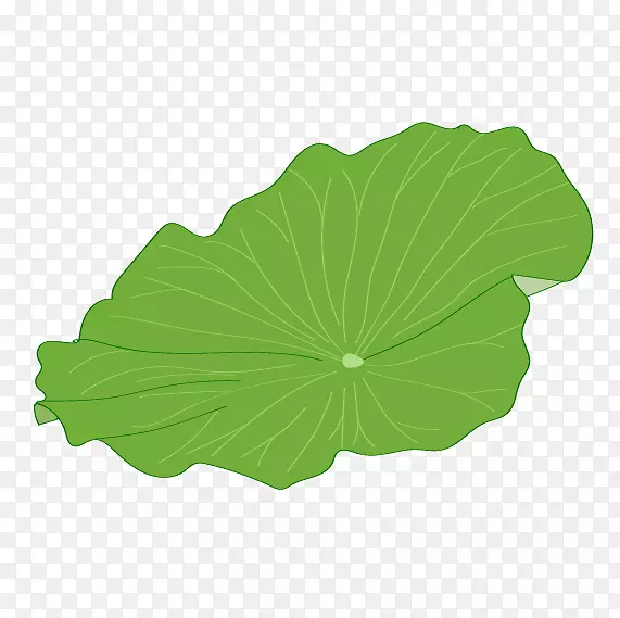 卡通荷叶插画装饰图案PNG图片素材下载_图片编号qmrznrwy-免抠素材网