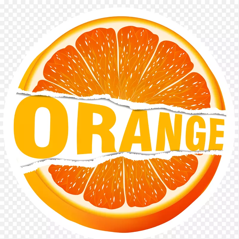 橙子贴纸矢量插画