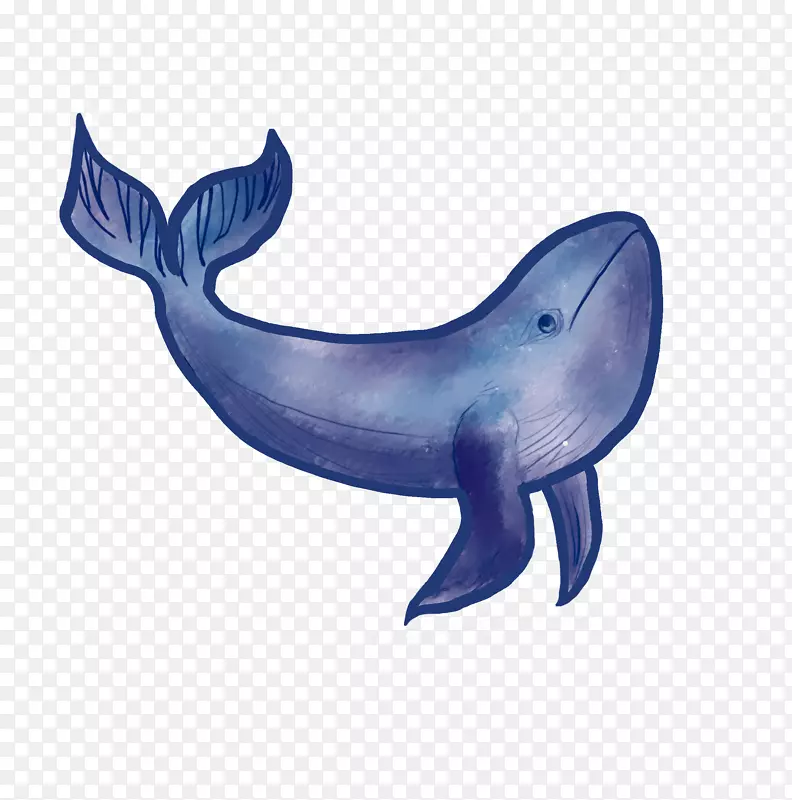 卡通手绘蓝色的鲸鱼