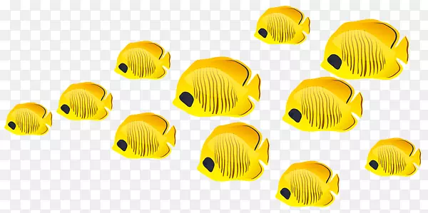 黄色鱼群