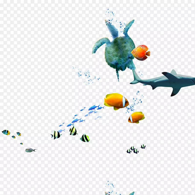 海洋生物