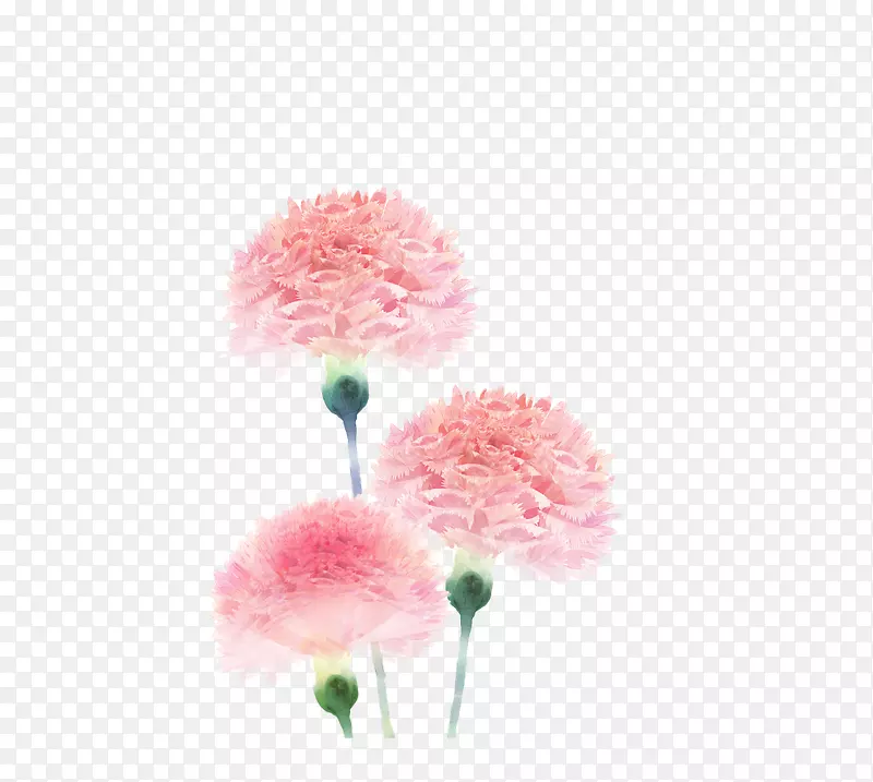 粉色手绘康乃馨装饰画插图