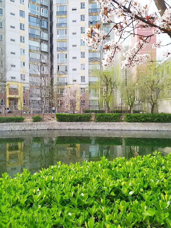风景  春天 景物