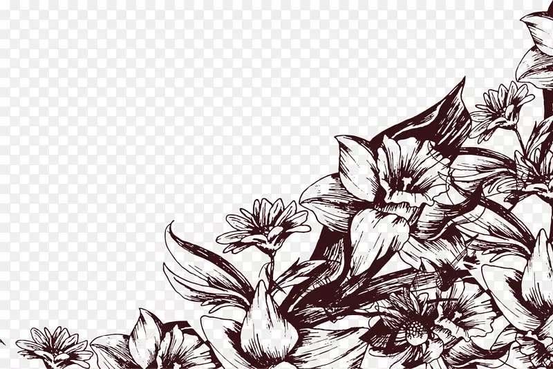 手绘线描花卉装饰