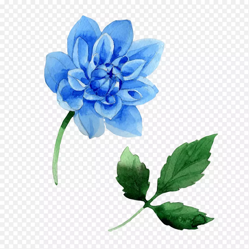 手绘水彩蓝色花朵绿色树叶
