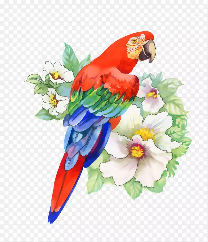卡通小清新动物装饰海报设计小鸟