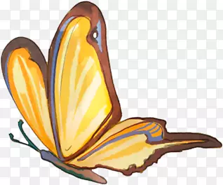卡通手绘黄色的蝴蝶
