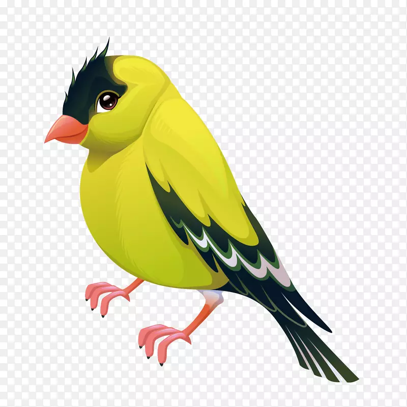 黄色精致设计飞鸟