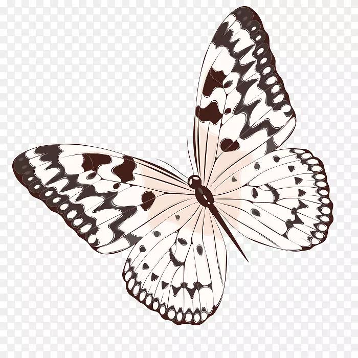 卡通手绘飞翔的蝴蝶