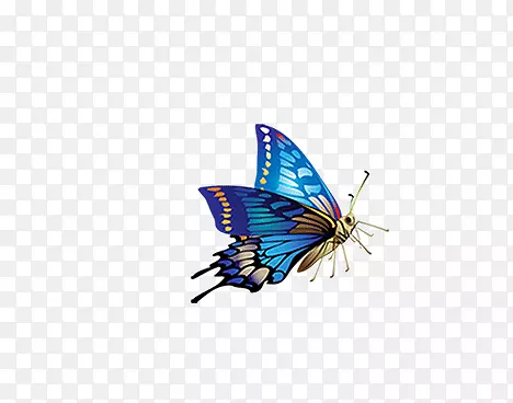 飞翔的蓝色蝴蝶