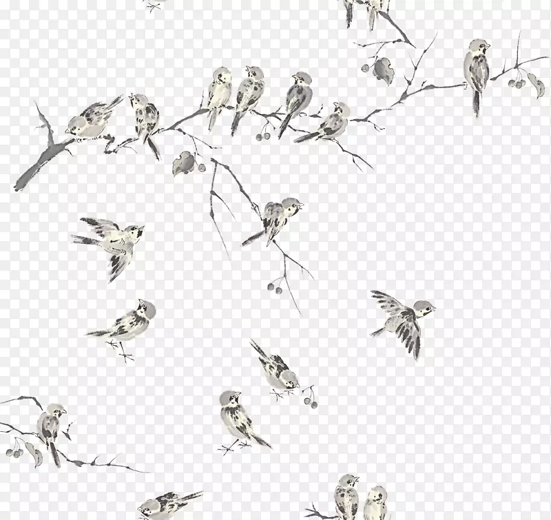 站在树上的一群小鸟