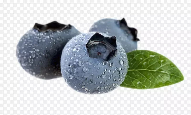 实物水果带叶子水珠野生蓝莓