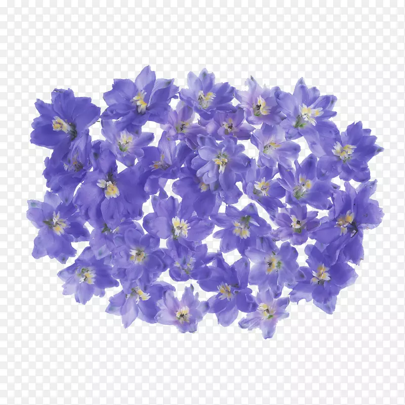 唯美紫色花瓣设计素材
