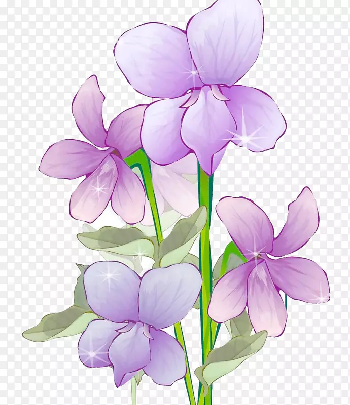紫罗兰花瓣