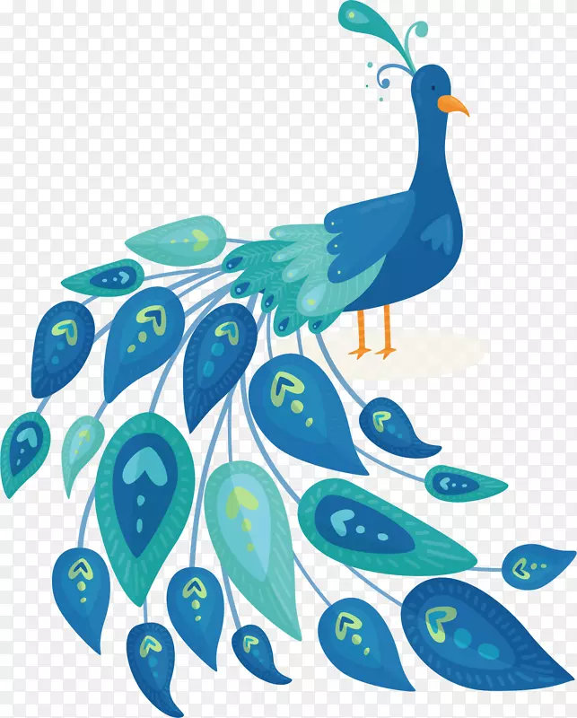 蓝绿色羽毛美丽孔雀