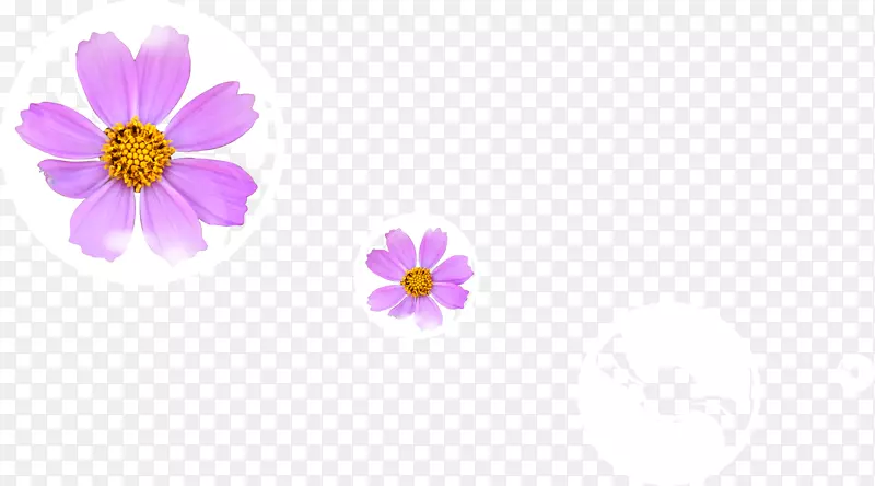 淡紫色花瓣花朵