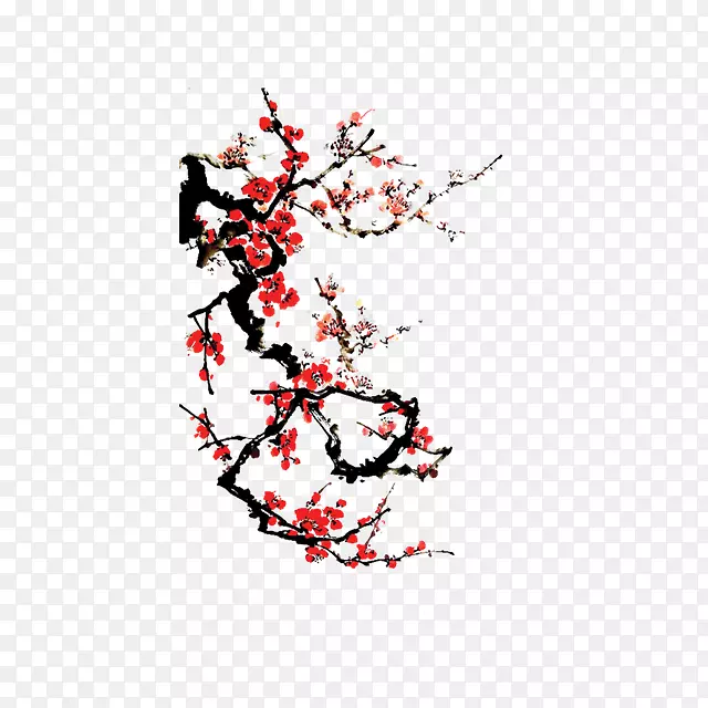 盛开的梅花