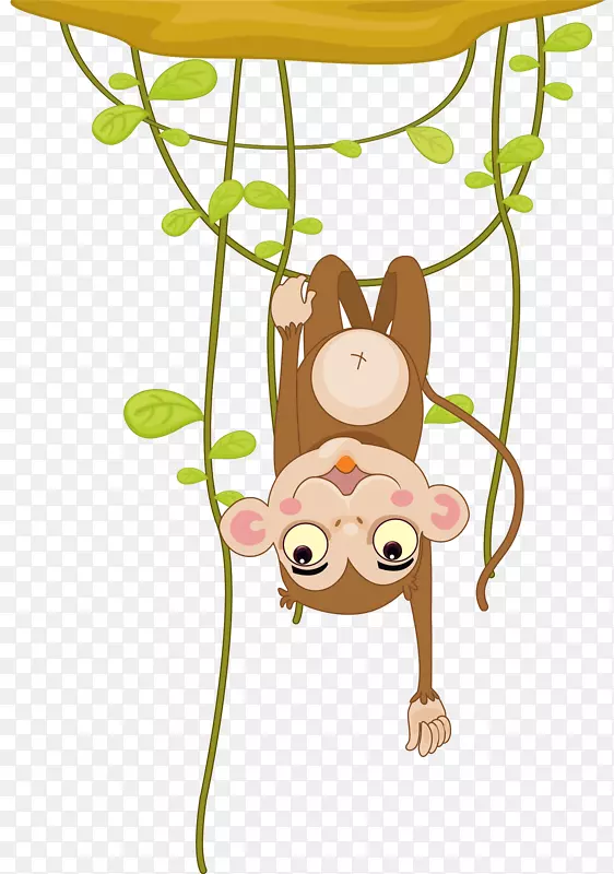 倒挂在树条上的猴子