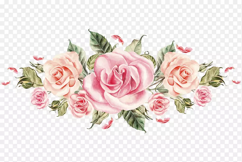 手绘粉色玫瑰花簇