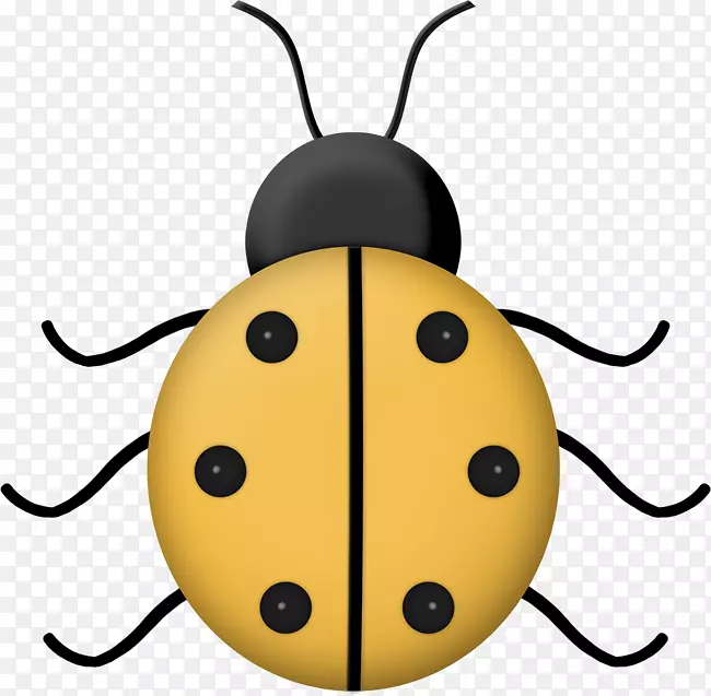 黄色甲虫