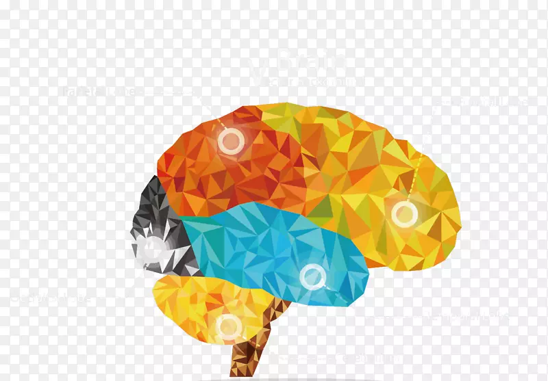 矢量晶格化彩色大脑