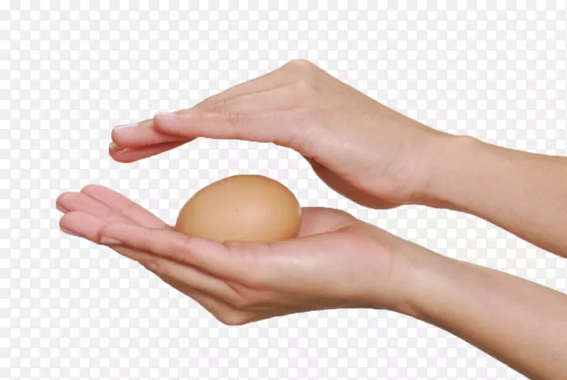 褐色鸡蛋手握着的初生蛋实物