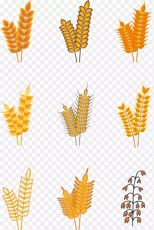 金色麦穗麦子矢量图形