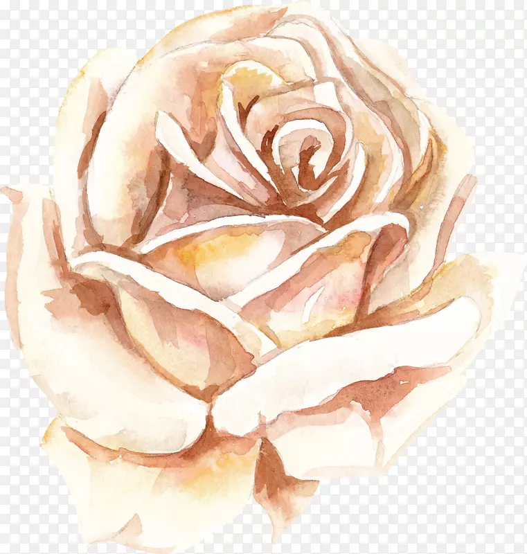 白色手绘的玫瑰花