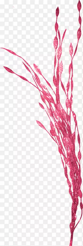 紫红色水晶花枝