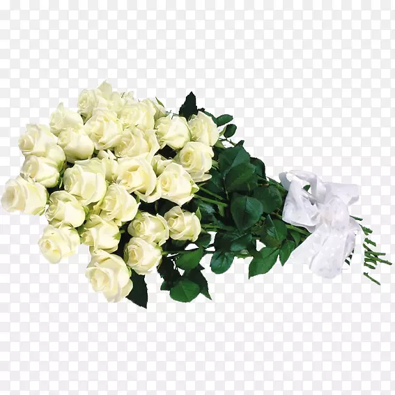 白色玫瑰花